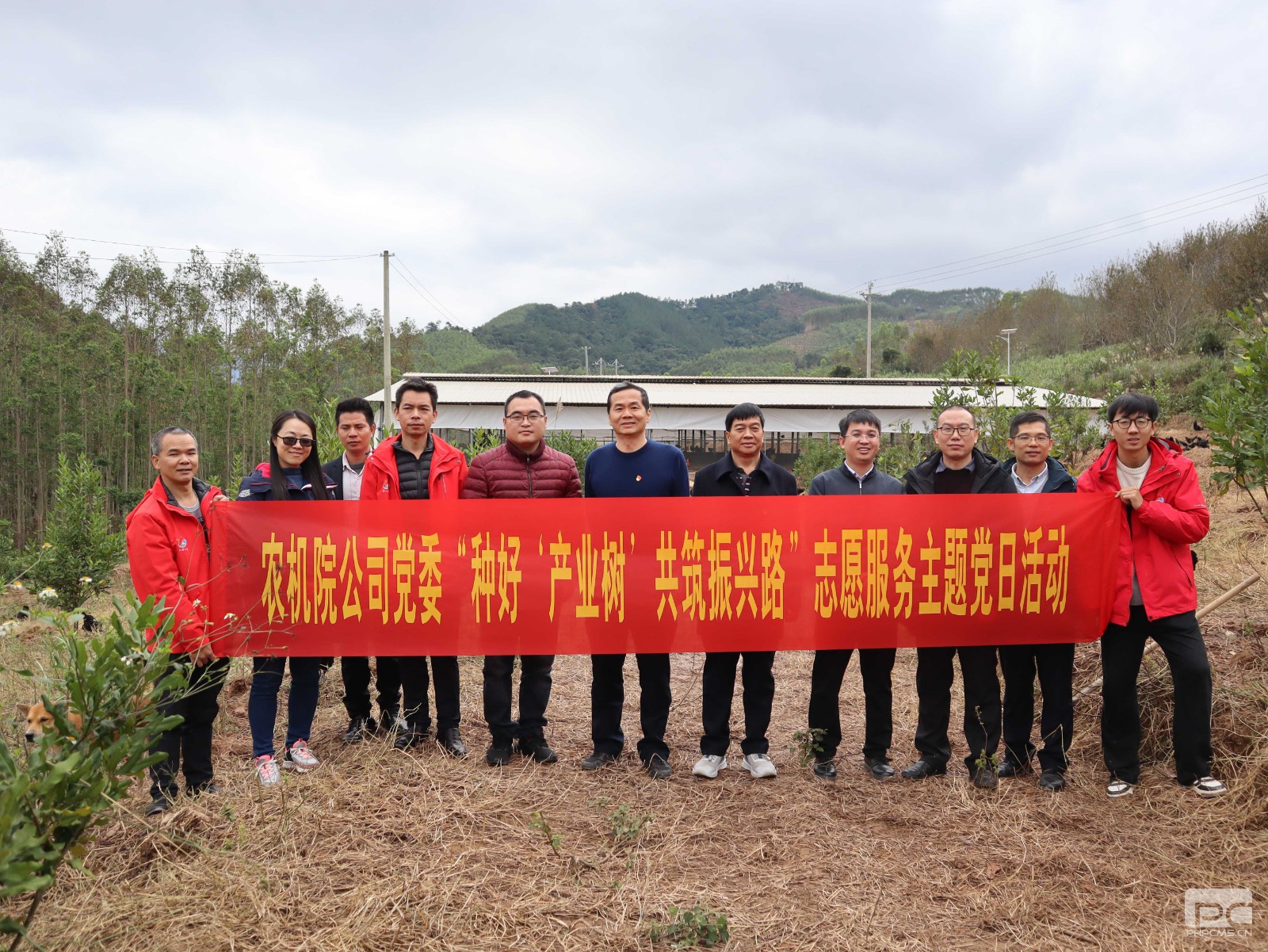 开展“种好‘产业树’ 共筑振兴路”志愿服务主题党日_副本.jpg